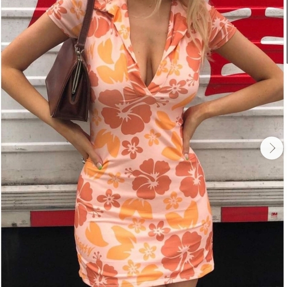 Omighty Hibiscus Collared Dress Size Large NWT - Picture 1 of 5